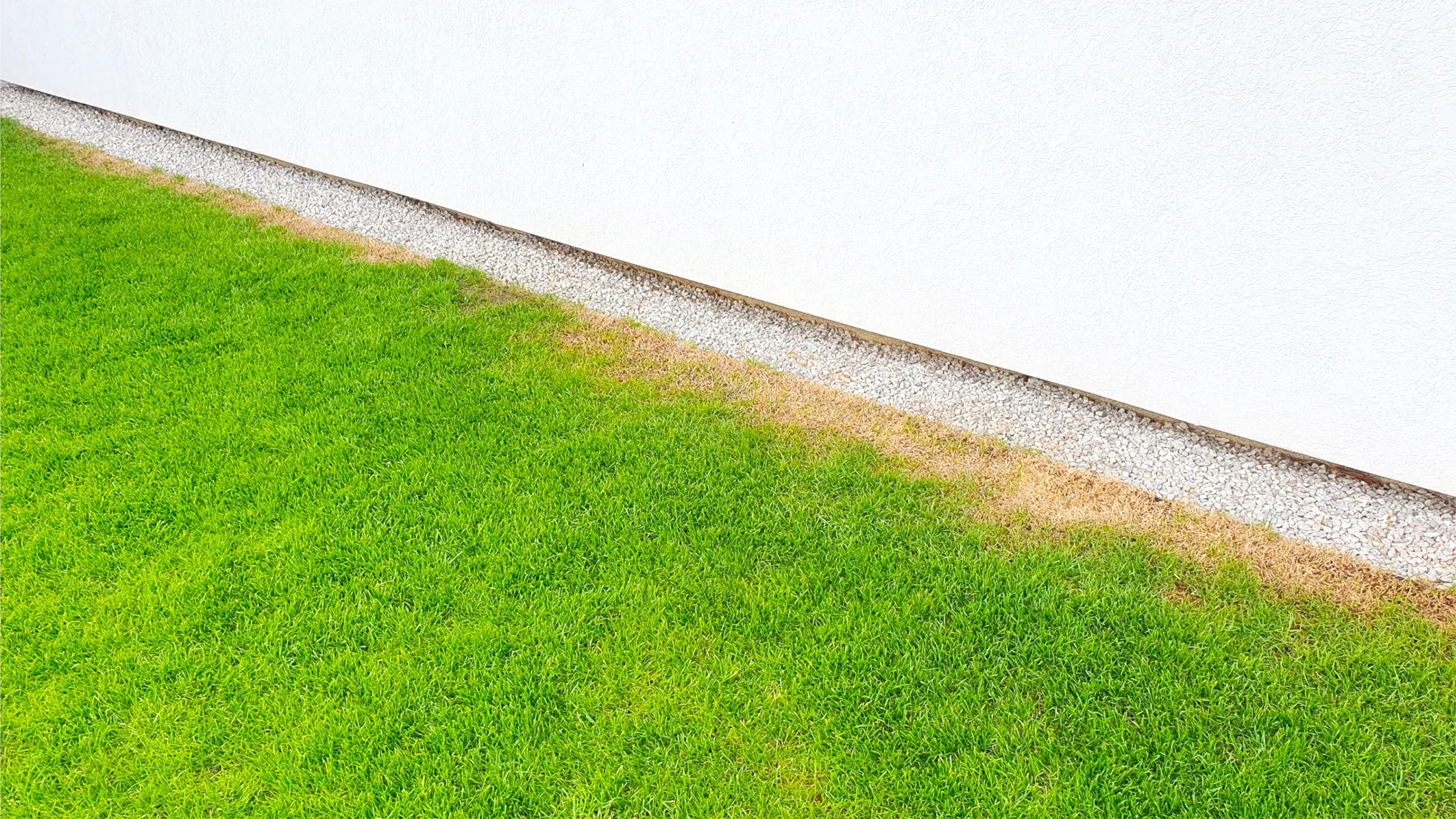 Prečo tráva pri betónovom obrubníku vysychá + RIEŠENIE